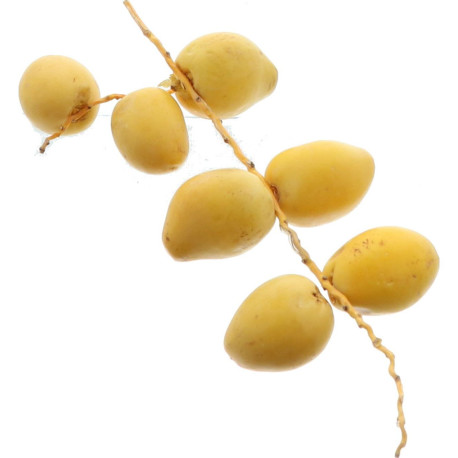 *PRODUIT BLOQUE* DATTE FRAICHE BAHRI 4,5KG